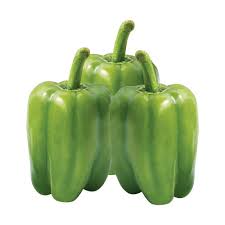 Dolmalık Biber (en az 5 kg)
